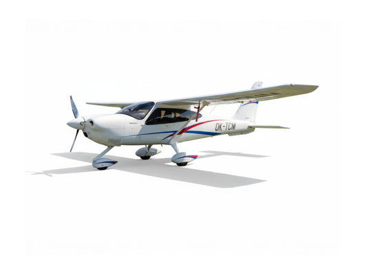 Fly the Tecnam P2010
